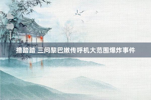 撸踏踏 三问黎巴嫩传呼机大范围爆炸事件