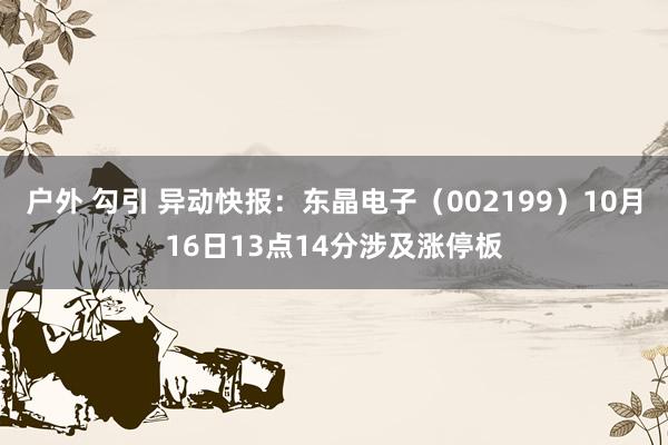 户外 勾引 异动快报:东晶电子(002199)10月16日13点14分涉及涨停板
