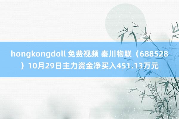 hongkongdoll 免费视频 秦川物联（688528）10月29日主力资金净买入451.13万元
