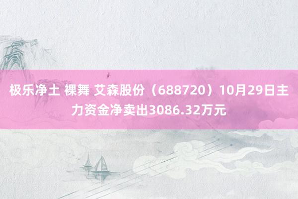 极乐净土 裸舞 艾森股份（688720）10月29日主力资金净卖出3086.32万元