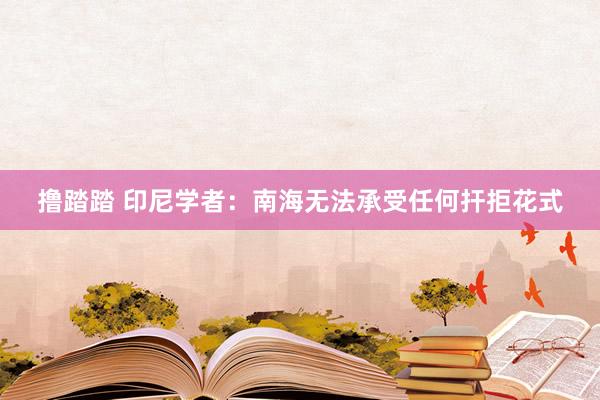 撸踏踏 印尼学者：南海无法承受任何扞拒花式