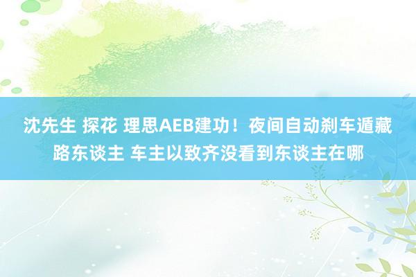 沈先生 探花 理思AEB建功！夜间自动刹车遁藏路东谈主 车主以致齐没看到东谈主在哪