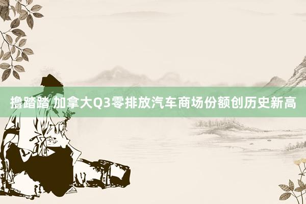 撸踏踏 加拿大Q3零排放汽车商场份额创历史新高
