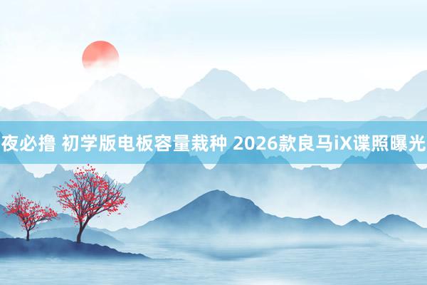 夜必撸 初学版电板容量栽种 2026款良马iX谍照曝光