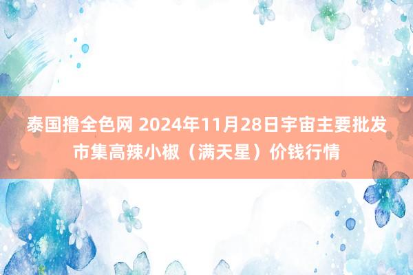 泰国撸全色网 2024年11月28日宇宙主要批发市集高辣小椒(满天星)价钱行情