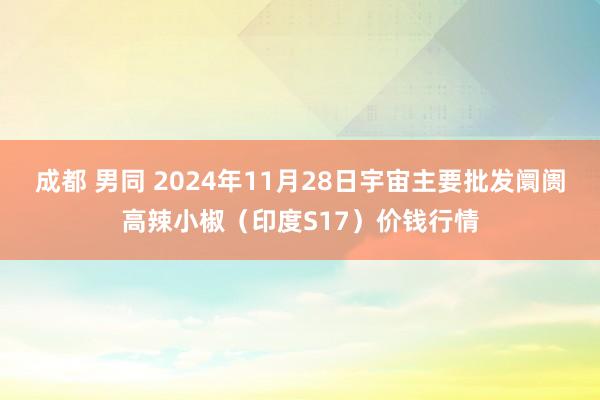 成都 男同 2024年11月28日宇宙主要批发阛阓高辣小椒(印度S17)价钱行情