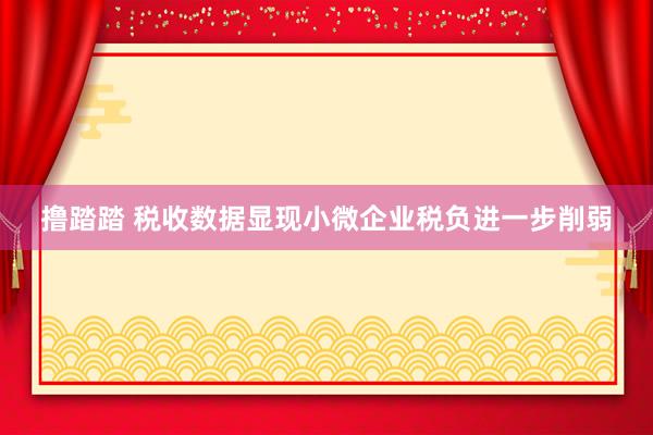 撸踏踏 税收数据显现小微企业税负进一步削弱