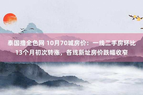 泰国撸全色网 10月70城房价：一线二手房环比13个月初次转涨，各线新址房价跌幅收窄