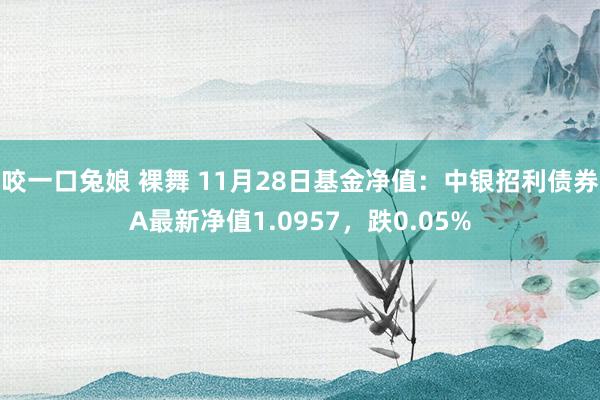 咬一口兔娘 裸舞 11月28日基金净值：中银招利债券A最新净值1.0957，跌0.05%