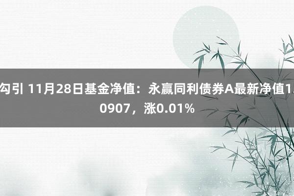 勾引 11月28日基金净值：永赢同利债券A最新净值1.0907，涨0.01%