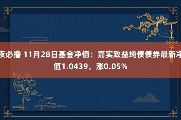 夜必撸 11月28日基金净值：嘉实致益纯债债券最新净值1.0439，涨0.05%