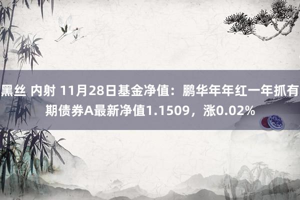 黑丝 内射 11月28日基金净值：鹏华年年红一年抓有期债券A最新净值1.1509，涨0.02%