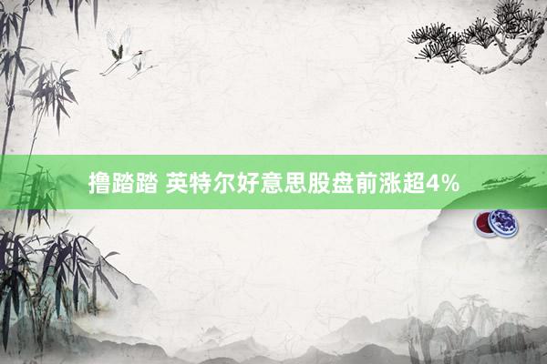 撸踏踏 英特尔好意思股盘前涨超4%