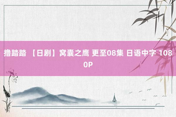 撸踏踏 【日剧】窝囊之鹰 更至08集 日语中字 1080P