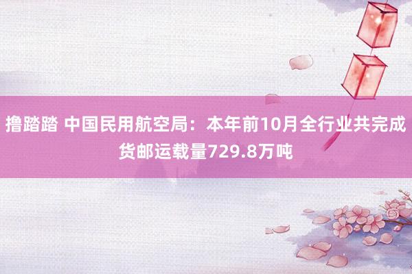 撸踏踏 中国民用航空局：本年前10月全行业共完成货邮运载量729.8万吨