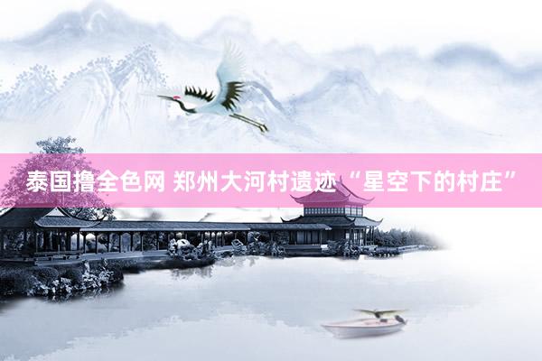 泰国撸全色网 郑州大河村遗迹 “星空下的村庄”