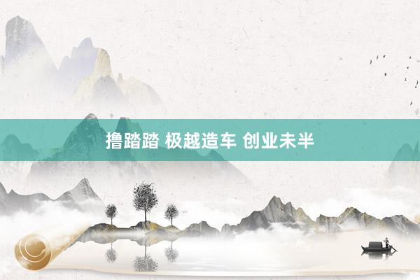 撸踏踏 极越造车 创业未半