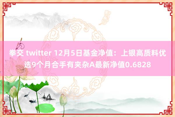 拳交 twitter 12月5日基金净值：上银高质料优选9个月合手有夹杂A最新净值0.6828