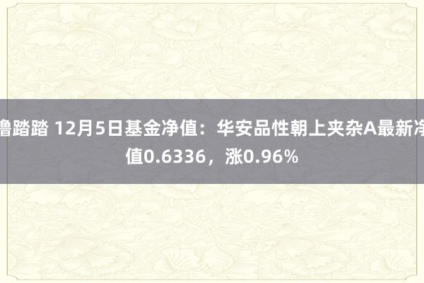 撸踏踏 12月5日基金净值：华安品性朝上夹杂A最新净值0.6336，涨0.96%