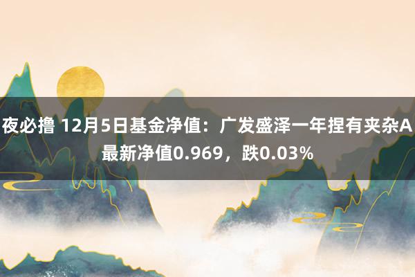 夜必撸 12月5日基金净值：广发盛泽一年捏有夹杂A最新净值0.969，跌0.03%