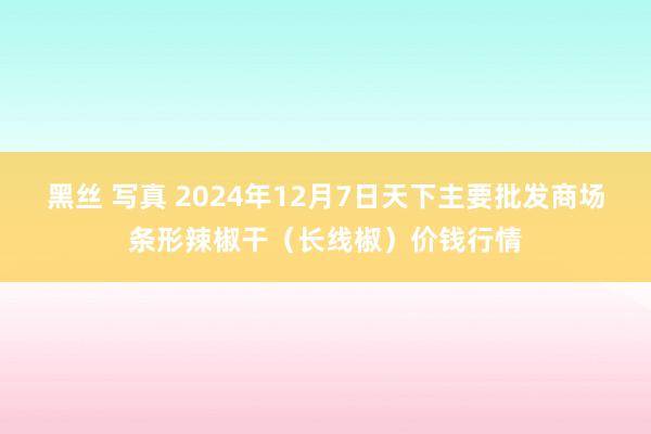 黑丝 写真 2024年12月7日天下主要批发商场条形辣椒干（长线椒）价钱行情