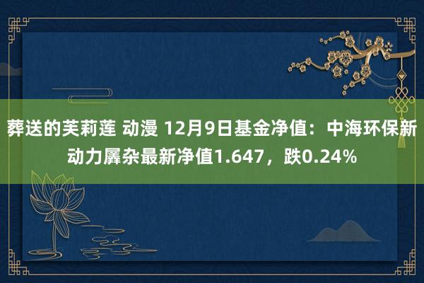 葬送的芙莉莲 动漫 12月9日基金净值：中海环保新动力羼杂最新净值1.647，跌0.24%