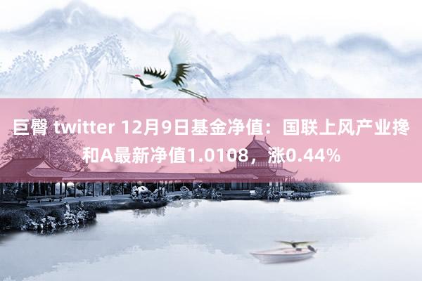 巨臀 twitter 12月9日基金净值：国联上风产业搀和A最新净值1.0108，涨0.44%