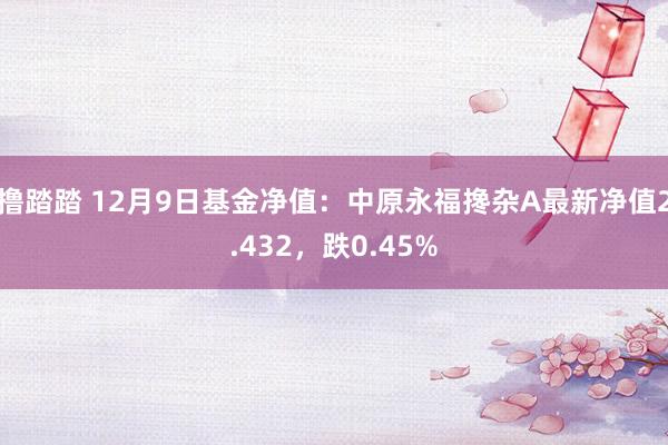 撸踏踏 12月9日基金净值：中原永福搀杂A最新净值2.432，跌0.45%