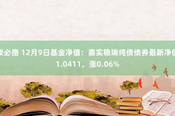 夜必撸 12月9日基金净值：嘉实稳瑞纯债债券最新净值1.0411，涨0.06%