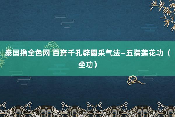 泰国撸全色网 百窍千孔辟闔采气法—五指莲花功（坐功）
