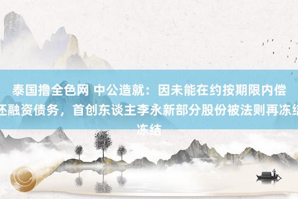 泰国撸全色网 中公造就：因未能在约按期限内偿还融资债务，首创东谈主李永新部分股份被法则再冻结