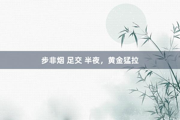 步非烟 足交 半夜，黄金猛拉