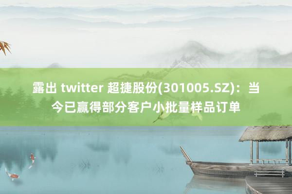 露出 twitter 超捷股份(301005.SZ)：当今已赢得部分客户小批量样品订单