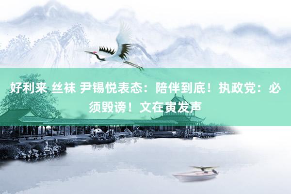 好利来 丝袜 尹锡悦表态：陪伴到底！执政党：必须毁谤！文在寅发声