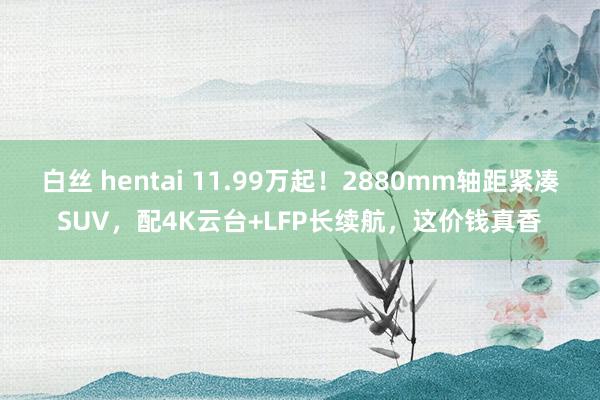 白丝 hentai 11.99万起！2880mm轴距紧凑SUV，配4K云台+LFP长续航，这价钱真香