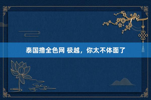 泰国撸全色网 极越，你太不体面了