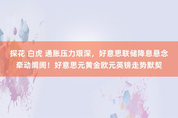 探花 白虎 通胀压力艰深，好意思联储降息悬念牵动阛阓！好意思元黄金欧元英镑走势默契
