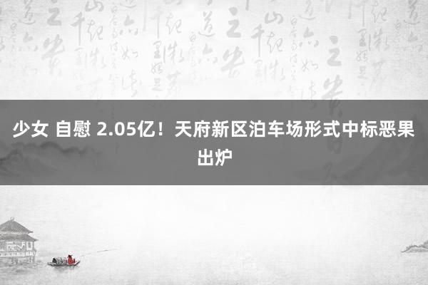 少女 自慰 2.05亿！天府新区泊车场形式中标恶果出炉