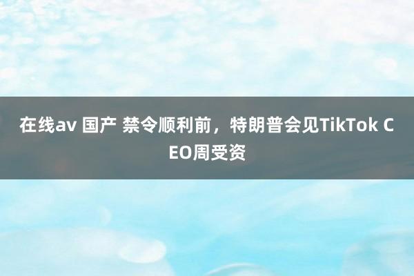 在线av 国产 禁令顺利前，特朗普会见TikTok CEO周受资