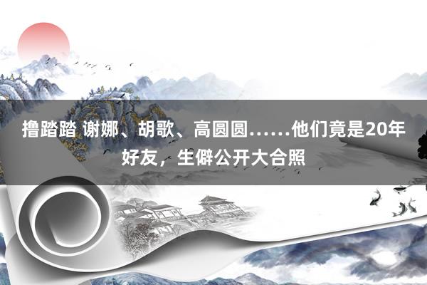 撸踏踏 谢娜、胡歌、高圆圆……他们竟是20年好友，生僻公开大合照