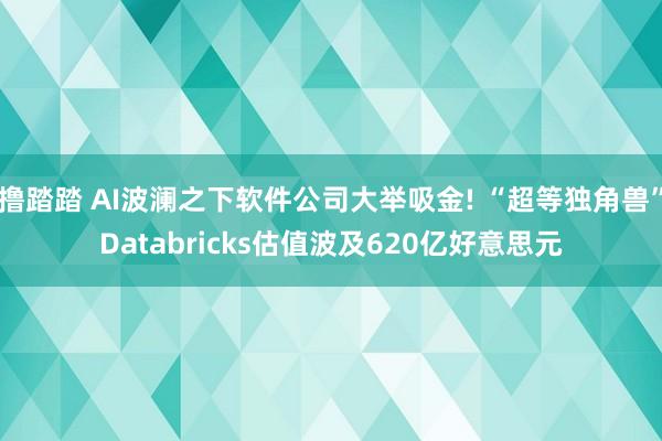撸踏踏 AI波澜之下软件公司大举吸金! “超等独角兽”Databricks估值波及620亿好意思元