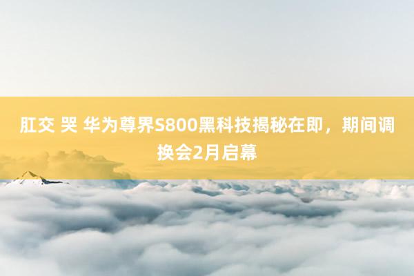 肛交 哭 华为尊界S800黑科技揭秘在即，期间调换会2月启幕