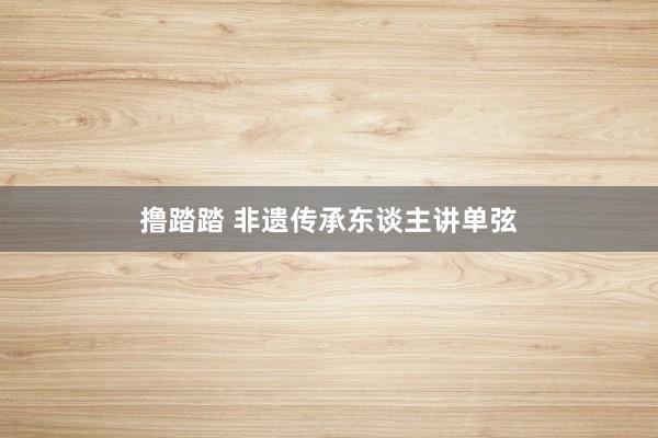 撸踏踏 非遗传承东谈主讲单弦