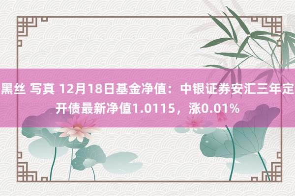 黑丝 写真 12月18日基金净值：中银证券安汇三年定开债最新净值1.0115，涨0.01%