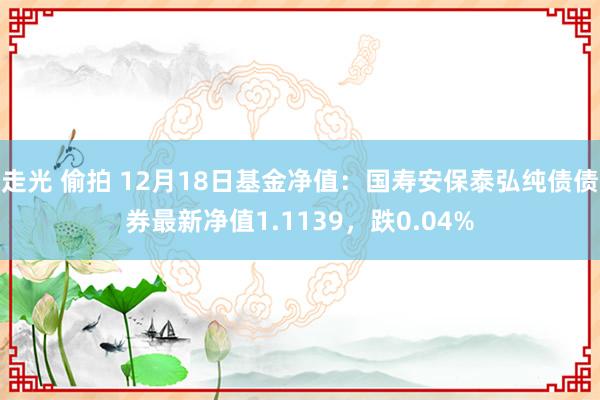 走光 偷拍 12月18日基金净值：国寿安保泰弘纯债债券最新净值1.1139，跌0.04%