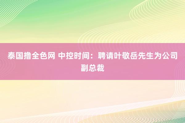 泰国撸全色网 中控时间：聘请叶敬岳先生为公司副总裁