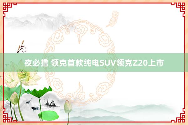 夜必撸 领克首款纯电SUV领克Z20上市