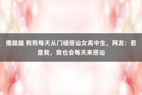 撸踏踏 狗狗每天从门缝搭讪女高中生，网友：若是我，我也会每天来搭讪