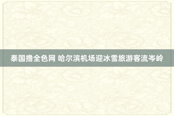泰国撸全色网 哈尔滨机场迎冰雪旅游客流岑岭