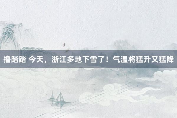 撸踏踏 今天，浙江多地下雪了！气温将猛升又猛降
